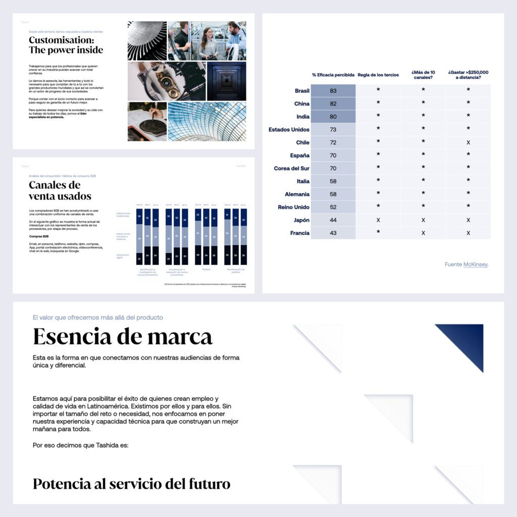Tashida: una marca para energizar múltiples industrias 2 tashida analysis1
