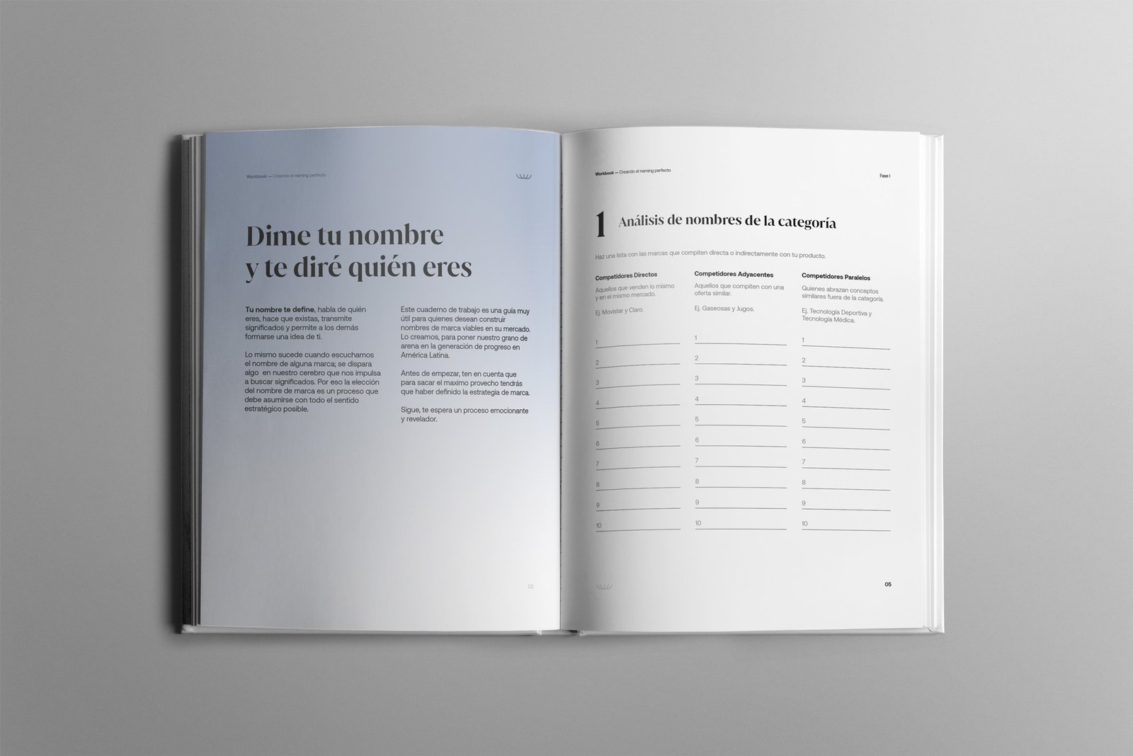 Workbook-Naming-Pages1