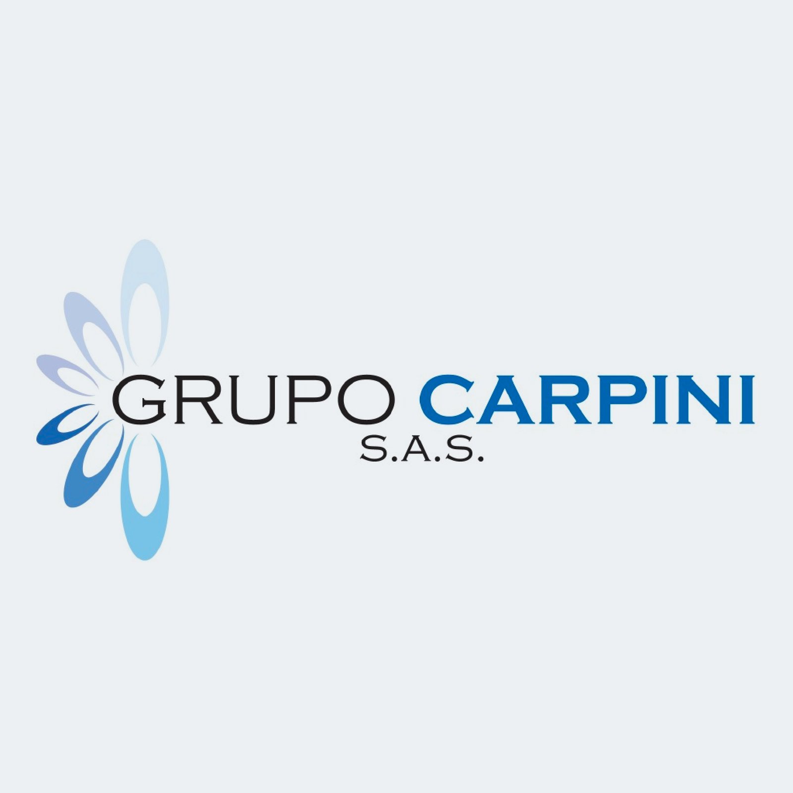 Carpini: Un rediseño de marca de vanguardia 2 Logotipo viejo de Carpini